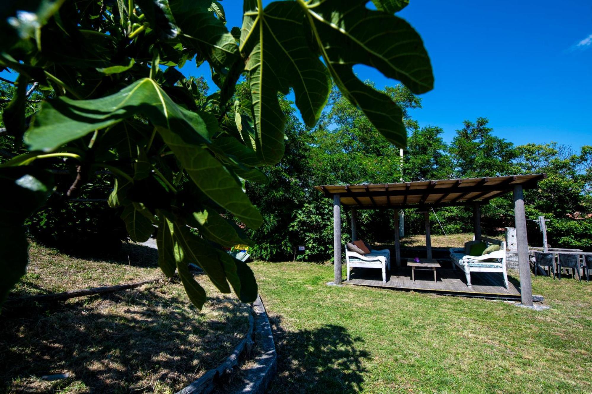 211 - Appartamento Acacia, Terrazza Giardino E Piscina Carro Exteriör bild