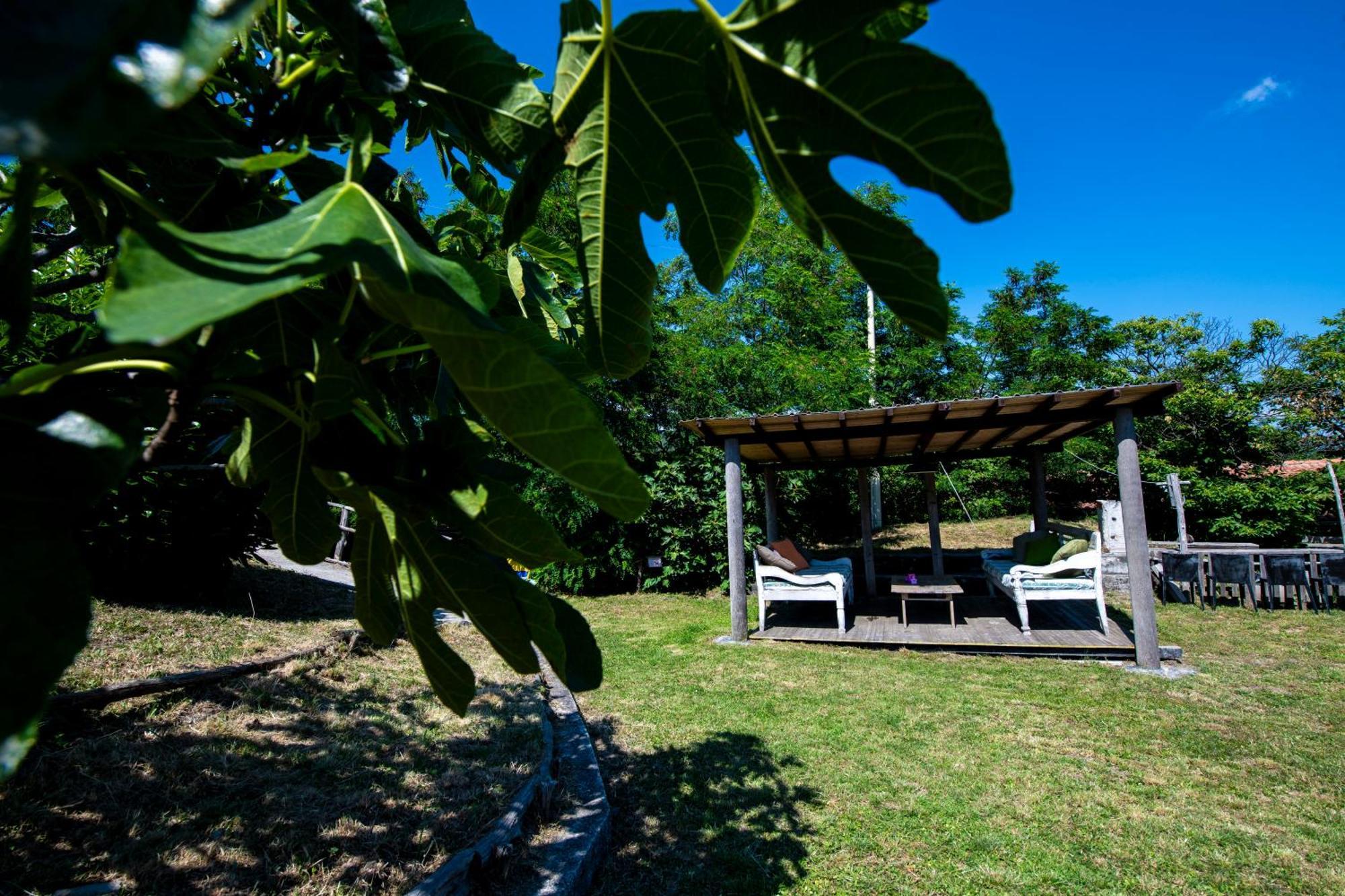211 - Appartamento Acacia, Terrazza Giardino E Piscina Carro Exteriör bild